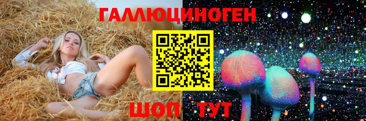 Галлюциногенные грибы Psilocybe  Псилоцибиновые грибы ЛСД  Тимашёвск  Вход с VPN 