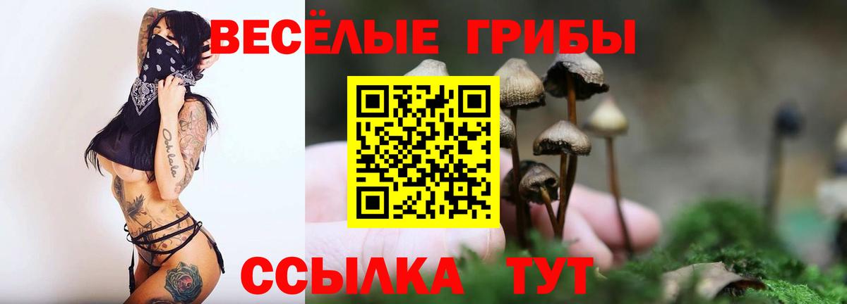 Псилоцибиновые грибы прущие грибы Тимашёвск